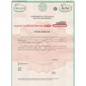 Income Certificate 