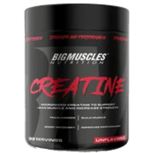 BIG MUSCLE MICRONIZED  CREATINE
