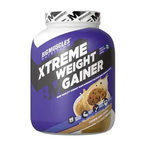 BIG MUSCLE XTREME GAINER 