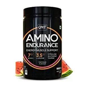 QNT AMINO  ENDURANCE