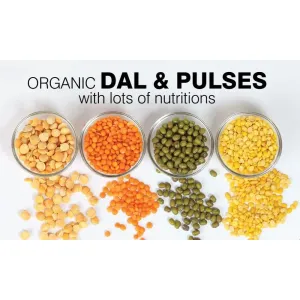 DAAL AND PULSES