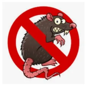 Rat Ant Insects Control 