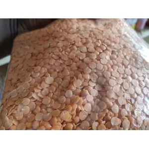 मसूर दाल