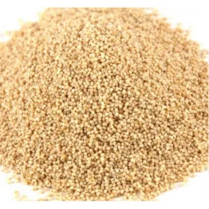 சன் பிராண்ட் கசகசா Kasakasa 25g