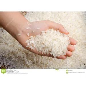 Singam rise 2kg