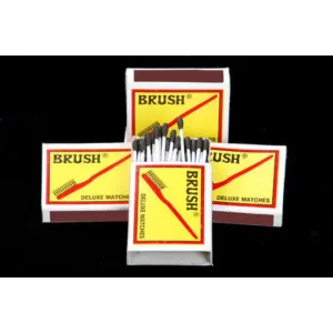 Brush theepetti 10pc