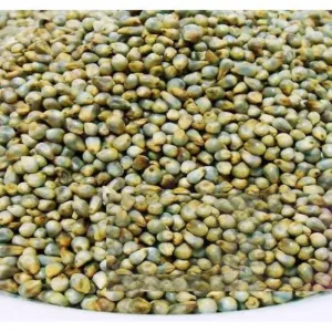 Kammam pul1kg