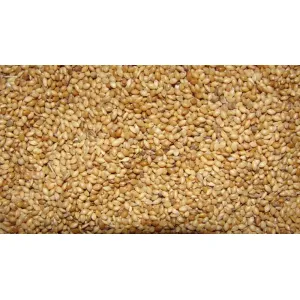 Thinai pul 1kg