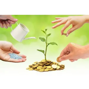 Invesment