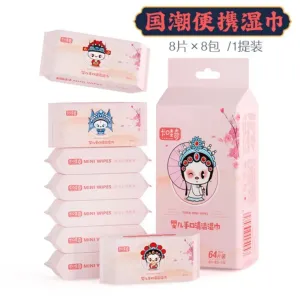 WET WIPES