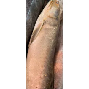 Ramas