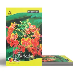 Classmate Long Book - Unruled, 160 Pages, 314 mm x 194 mm - Pack Of 3