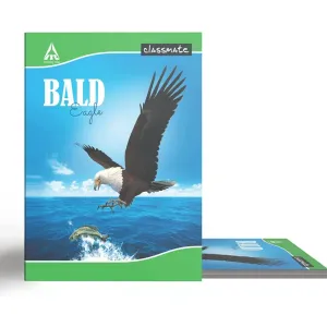 Classmate Long Book - Single Line, 172 Pages, 297 mm x 210 mm - Pack Of 3