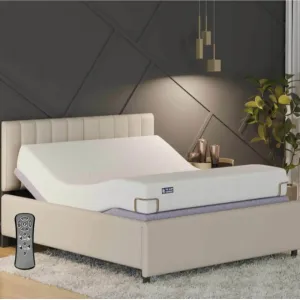 Furniture and Home services 