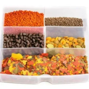 FISH FOODS