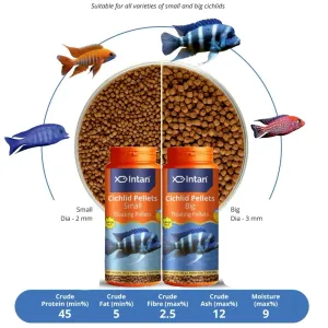 INTAN- CICHLID PELLETS [SMALL] 
(
FLOATING PELLETS )  [loose pack] 50,100 grams 