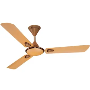 Summer Products 
