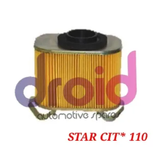 DS858 AIRFILTER STAR CIT* 110