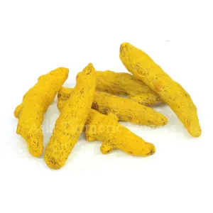 Erode Virali Manajal