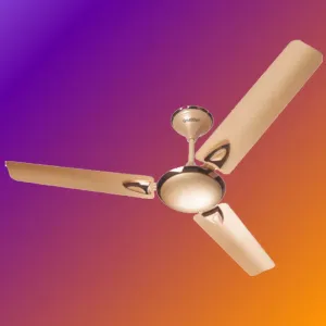 Celing Fans
