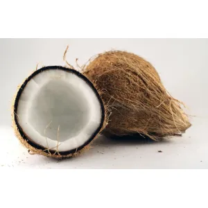 Coconut