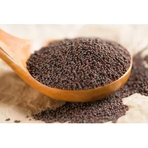Mustard seeds ఆవాలు 100g