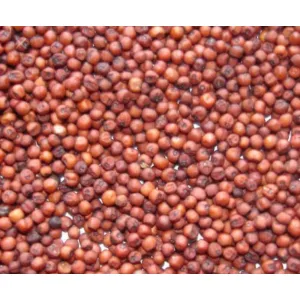 Ragi సొడ్లు kg