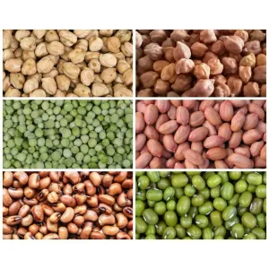 Grams/சுண்டல் வகைகள்