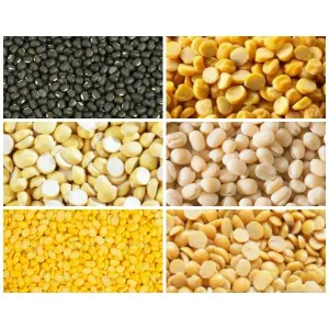 Pulses / பருப்பு வகைகள்