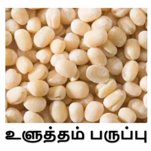 Urad Dal Special 
