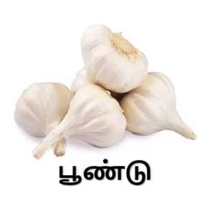 Garlic