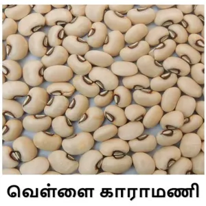 White Karamani