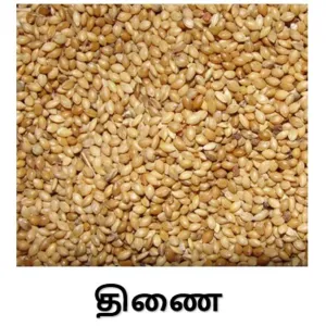 Thennai (Loose)