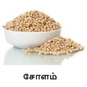 Cholam (Loose)