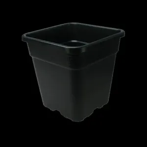 Flower Square Black Pots