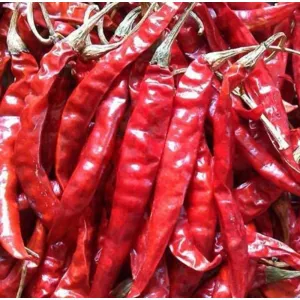 Varamelagai Gundur 1kg
