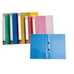 Report File (Multicolor) 