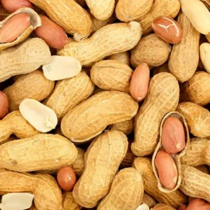 मूँगफली (groundnut)