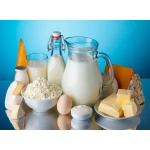 Dairy Products | Eggs | Bread | Rusk | Dry Fruits | Nuts