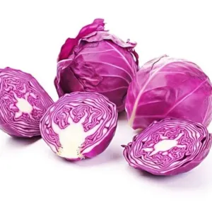 Cabbage Purple ( Ooty)- Ozone Washed