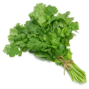 Coriander Leaves / മല്ലിയില - Ozone Washed