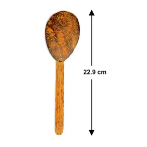 Coconut Shell Serving Spoon