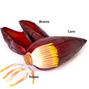 Banana Flower 