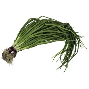 Spring onion