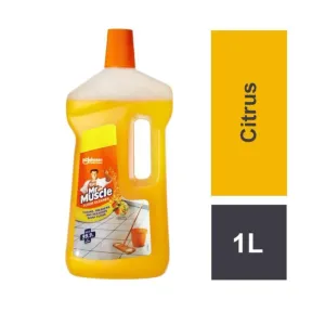 Mr Muscle Citrus Floor Cleaner: 1 Litre