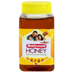 Baidyanath Honey 500 g