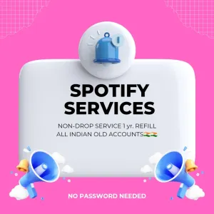 SPOTIFY PLAYS