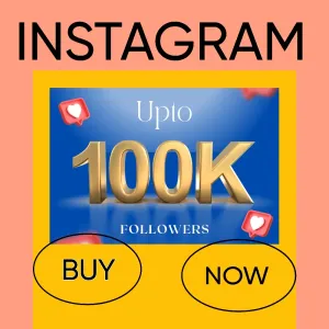INSTA 20K ORGANIC FOLLOWERS