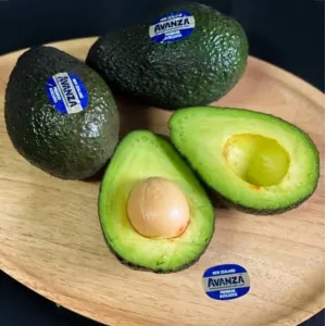 Imported avocado