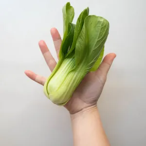Bok choy
